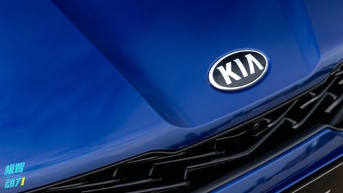 年度汽車可靠性排名生變，銷量王者緣何淪為質(zhì)量洼地？